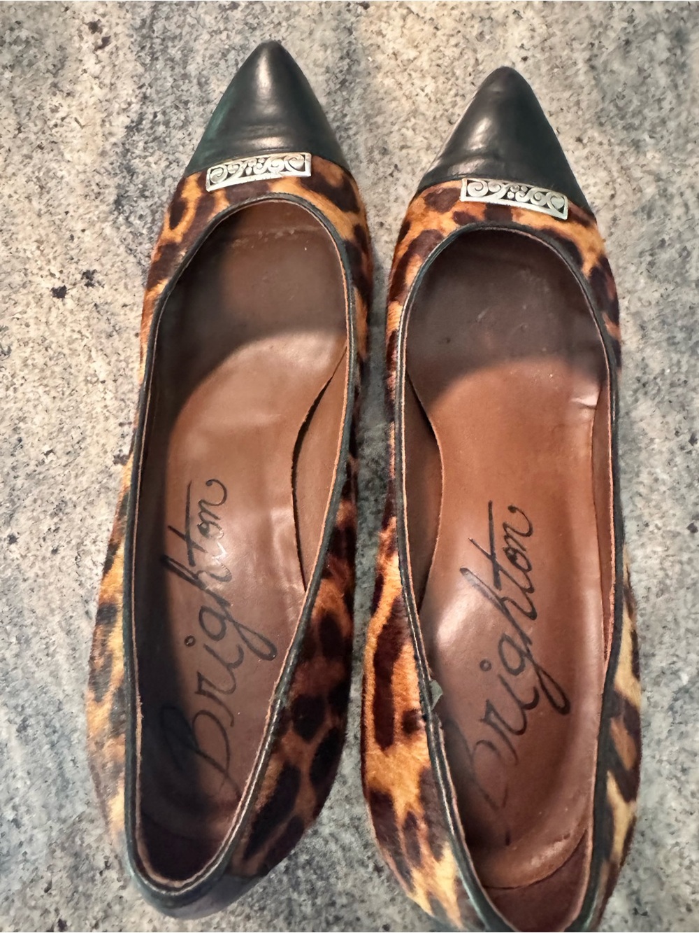 Brighton Leopard-Print Pointed heels with Black Cap Toe